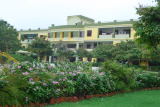 The Shishu Kunj International School Gallery