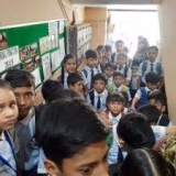 Daffodils High School Gallery