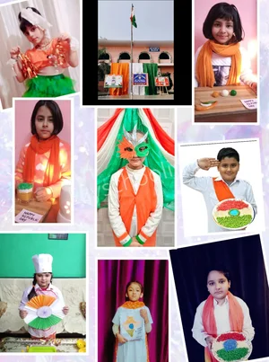 Sevti Devi Memorial Sr. Sec. Vidya Mandir Gallery 5