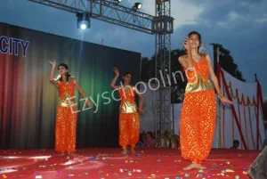 Shekhawati Public School Gallery 44