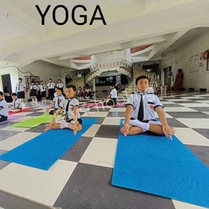 Camellia Public School Gallery 5