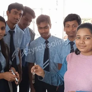 Camellia Public School Gallery 8