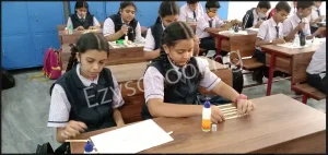 St. Anne's Public School Gallery 8