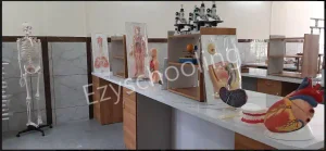 St. Anne's Public School Gallery 7