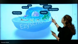 Delhi Model Virtual School Gallery 5