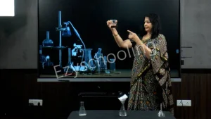 Delhi Model Virtual School Gallery 6