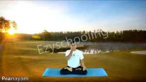 Delhi Model Virtual School Gallery 8