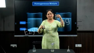 Delhi Model Virtual School Gallery 3