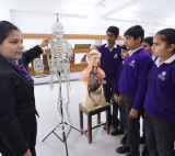 Saraswati Global School Gallery