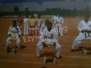 New Excellent English Primary And High School Gallery