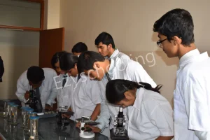 St. Luigi School Gallery