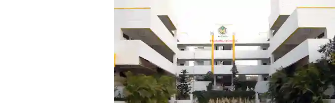 Sterling School Gallery