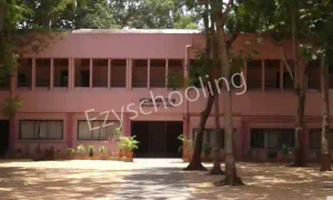 Vidya Niketan English Medium School Gallery