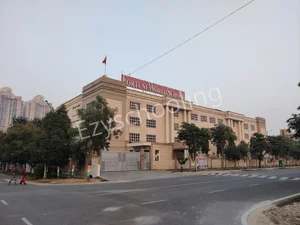 Fortune World School Gallery