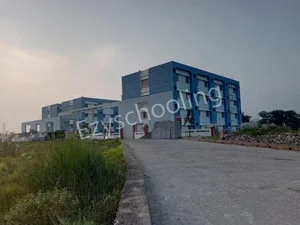Narula Public School Gallery