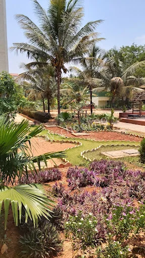 Carmel Teresa School Gallery