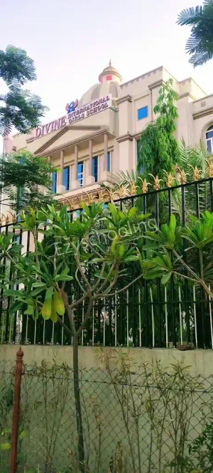 Divine International School Gallery