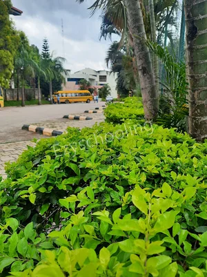 PSBB Learning Leadership Academy Gallery