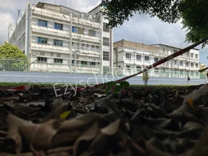 BDM International School (BDMI) Gallery