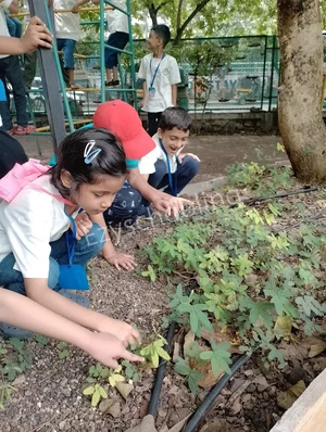 Kalpa Vriksha Academy Gallery