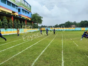 Orchids The International School Gallery