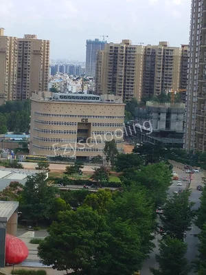 Chrysalis High Gallery