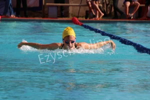 Treamis World School Gallery