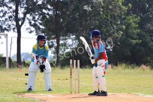 Treamis World School Gallery