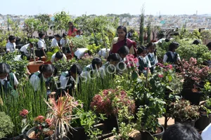 Apollo Public School Gallery