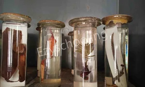 St. Denis School Gallery