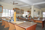Ashok International Public School Gallery