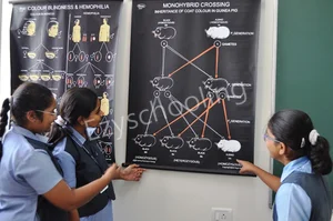 Chinmaya Vidyalaya Gallery