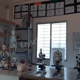 St. Philomena's Public School Gallery