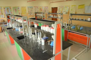 St. Xavier's High School Gallery