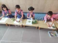 Pragati Nursery and Primary School - Feeder Branch of Pragati Public School Gallery