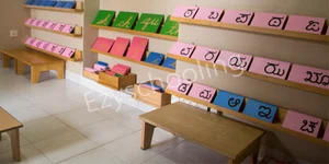 The Montessori School Gallery