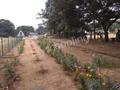 St. Joseph’s Convent School Gallery