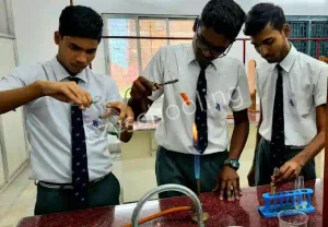 Rose Bud School Gallery