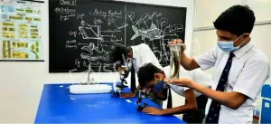 Rose Bud School Gallery