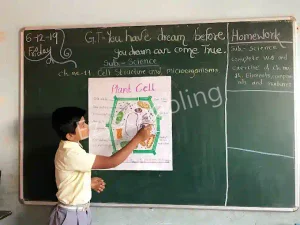 Everests English School Gallery