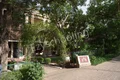 The Scindia School Gallery