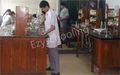 Abhinav Bharati High School Gallery