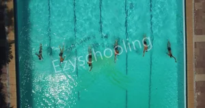 Peevees Public School Gallery