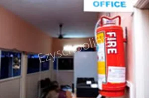 Primrose School Gallery