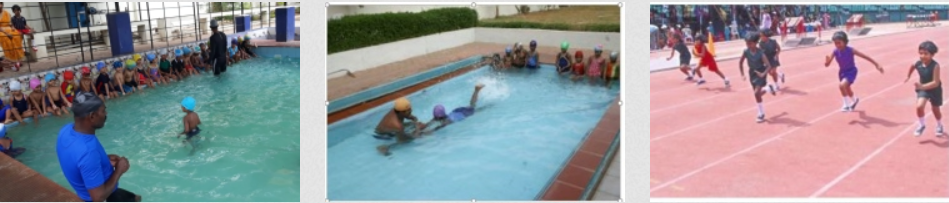 The Schram Academy Gallery