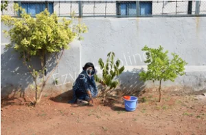 St. Mary Convent Higher Secondary School Gallery