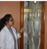 Shri Agrasen Vidyalaya Gallery