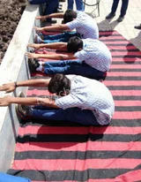 Sideras International School Gallery