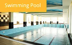 Stemfield International School Gallery