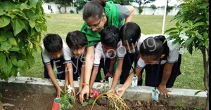 Gurukul Academy Gallery